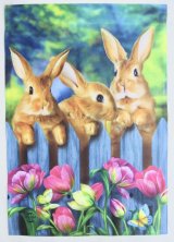 ウサギ３兄弟の春