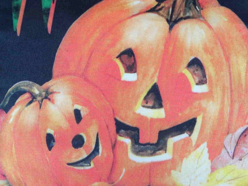 画像: かぼちゃか親子のウェルカムフラッグ