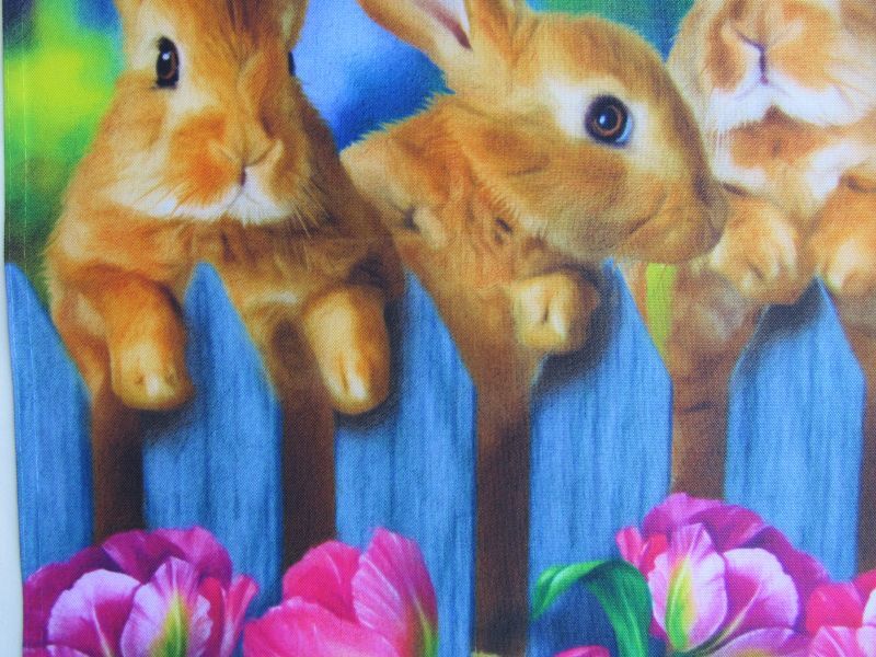 画像: ウサギ３兄弟の春