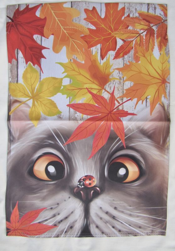 画像1: ネコと紅葉