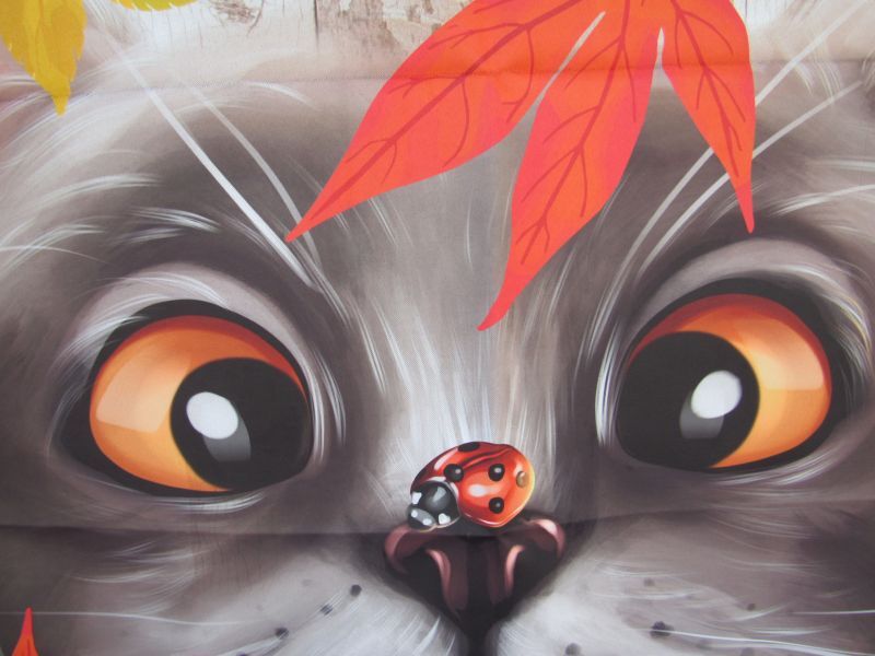 画像: ネコと紅葉